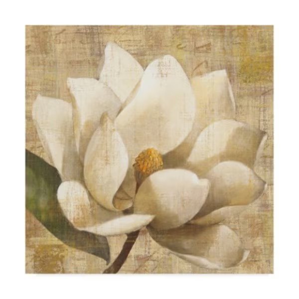 Albena Hristova 'Magnolia Blossom On Script' Canvas Art, 35x35, Trademark Fine Art, Mfr#: WAP08732-C3535GG